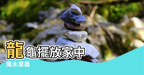 龍龜擺放臥室|龍龜的功效、風水意義、擺放方式、供養禁忌和注意事。